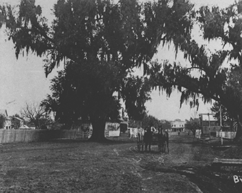Black and white photograph of the Levi Jordan Plantation featuring a horse-drawn cart on a dirt road.