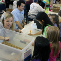 Children's archeology table at Ocean Discovery Day