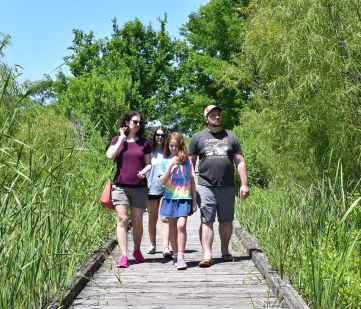 A family walking down a wooden boardwalk in a marsh