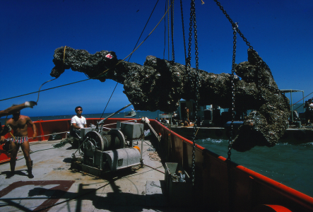 Historical color photograph of recovery of 1554 anchor by THC team.