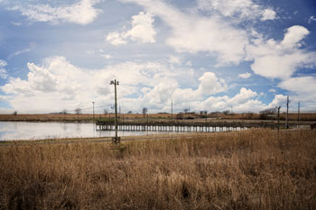 Picture of a marsh 
