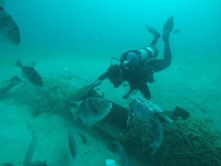 Diver examines canopy of submerged WW2 plane.
