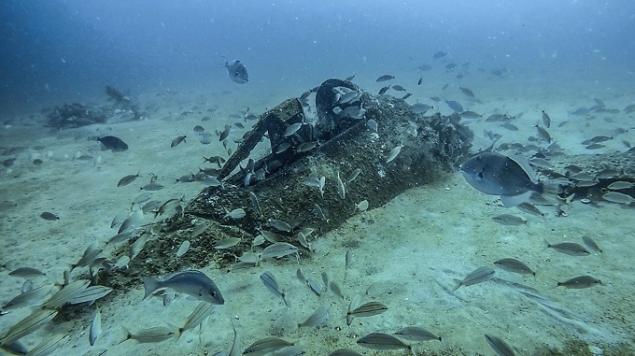 The wreckage of an F8F Bearcat lost during aircraft carrier qualification training, Pensacola, Florida. Cockpit is visible on bottom of ocean; several tropical fish are swimming also.